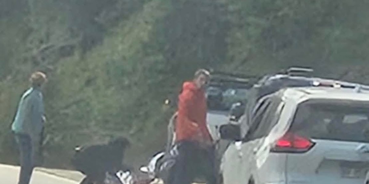 Muri&oacute; una pediatra que circulaba en bicicleta tras ser embestida por una camioneta chilena